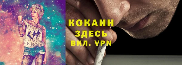 крисы Алзамай