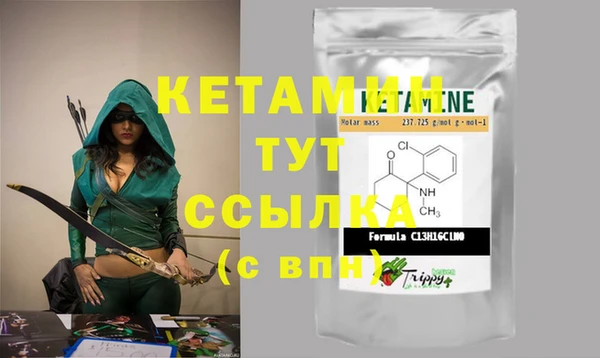 крисы Алзамай