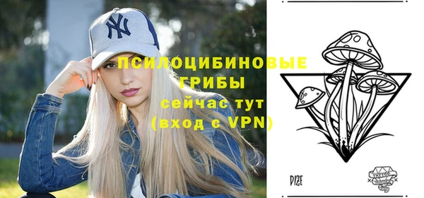 крисы Алзамай