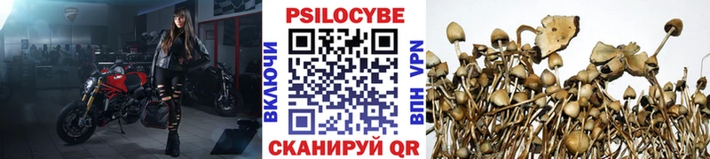 Псилоцибиновые грибы Cubensis  Евпатория 